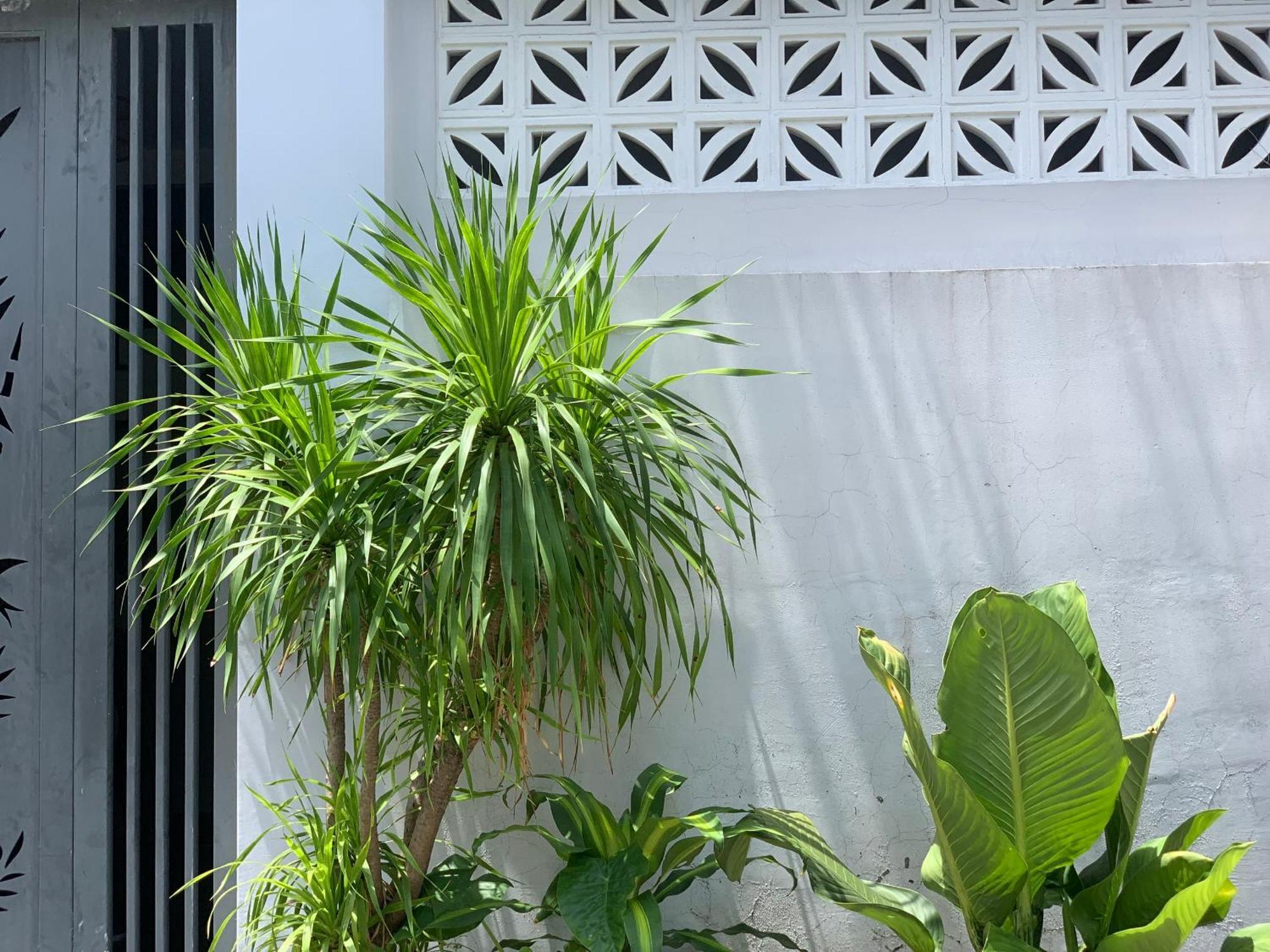 Tina House Apartment Đà Nẵng Kültér fotó