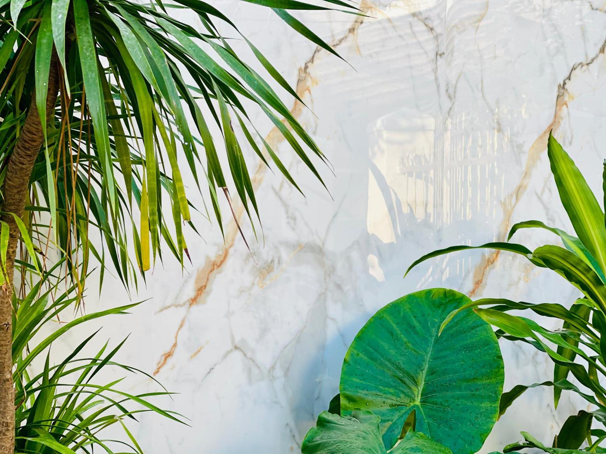 Tina House Apartment Đà Nẵng Kültér fotó